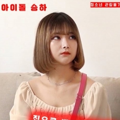펫걸 : 은밀한 도우미