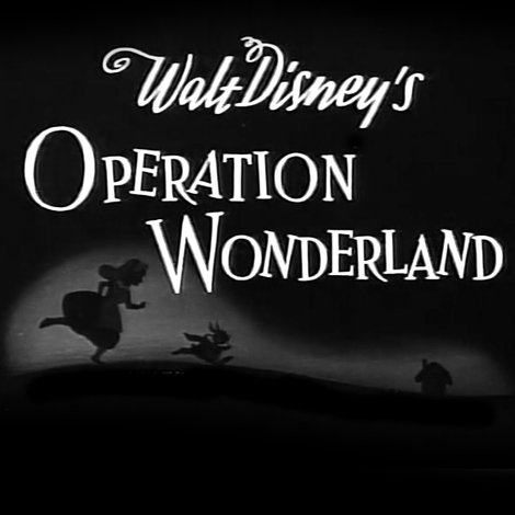 Operation Wonderland