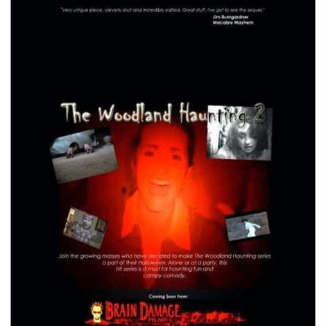 The Woodland Haunting 2