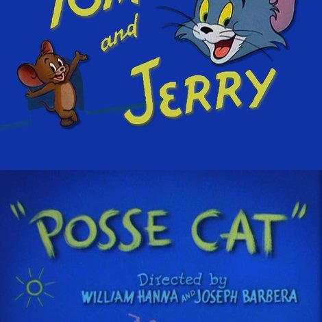 Posse Cat