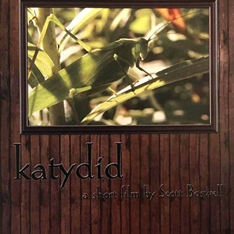 Katydid