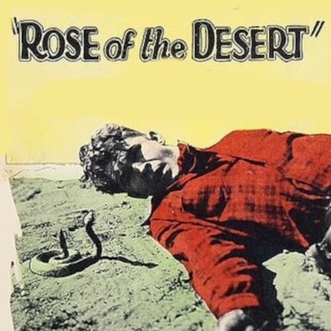 Rose of the Desert