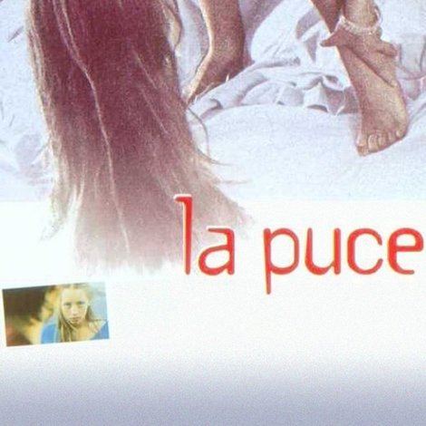 La puce