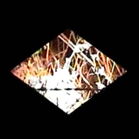 Diamondback