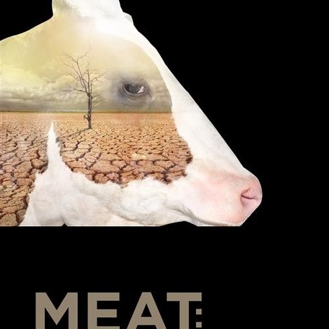 Meat: A Threat to Our Planet