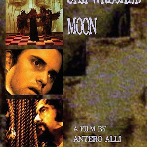 Under A Shipwrecked Moon