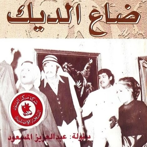 ضاع الديك