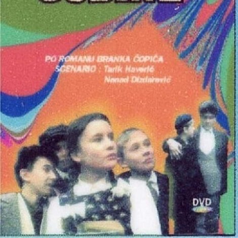 Magareće godine