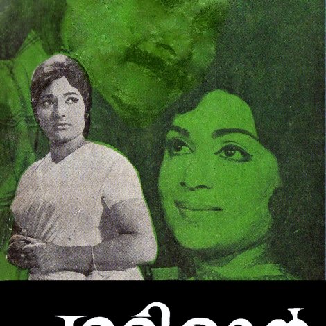 പുള്ളിമാൻ