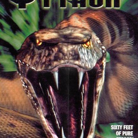 Python