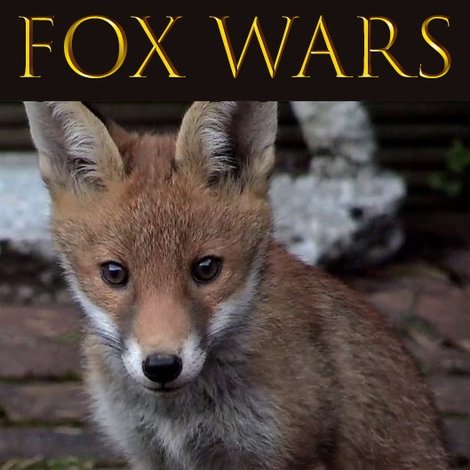 Fox Wars