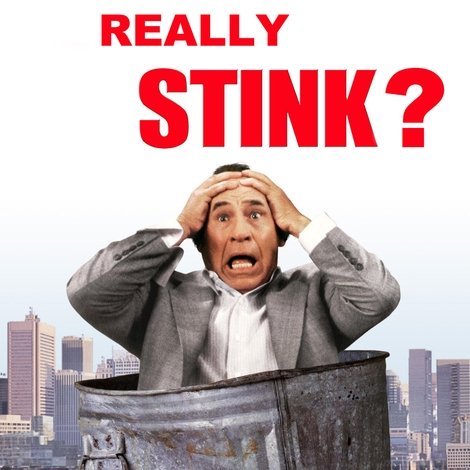 Life Stinks: Does Life Really Stink?