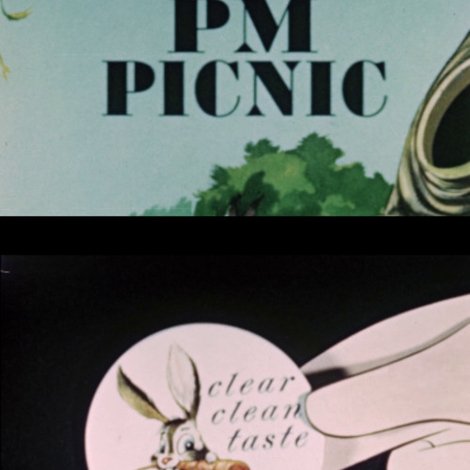 PM Picnic