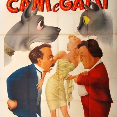 Cani e gatti