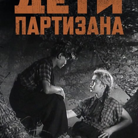 Дети партизана