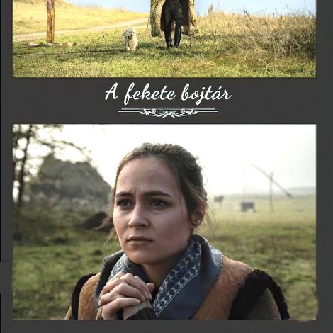 A fekete bojtár
