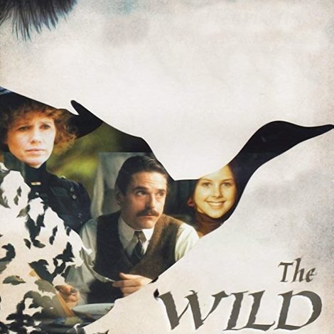 The Wild Duck