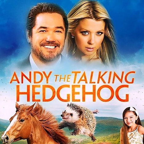 Andy the Talking Hedgehog