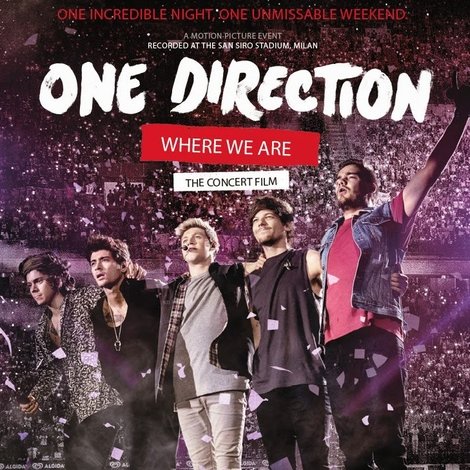 One Direction: Where We Are - The Concert Film
