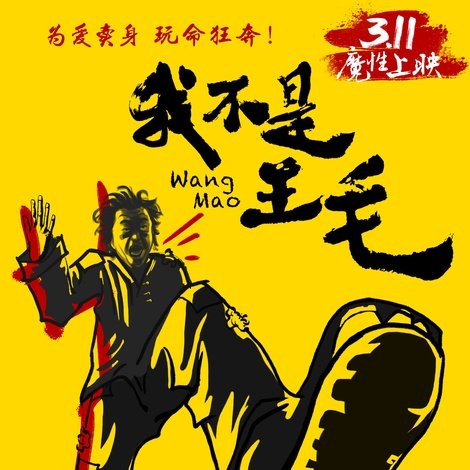 我不是王毛