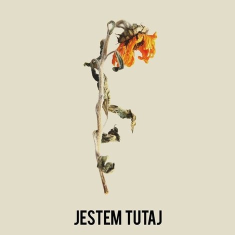 Jestem tutaj