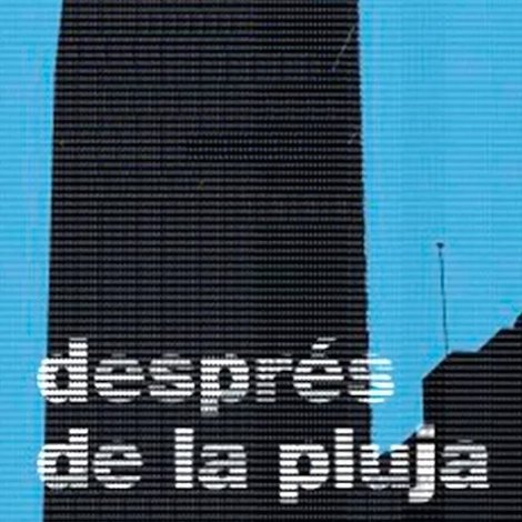 Després de la pluja
