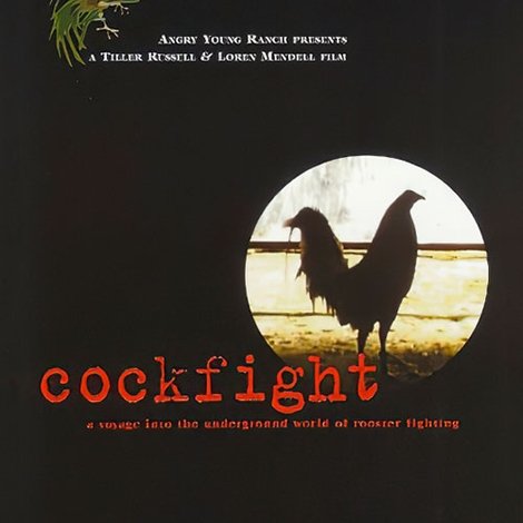 Cockfight