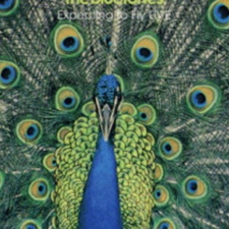 The Bluetones: Expecting To Fly Live