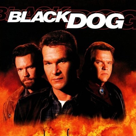 Black Dog