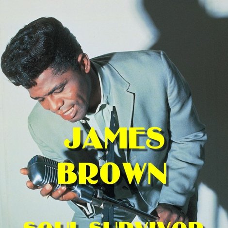 James Brown: Soul Survivor