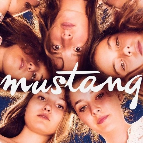 Mustang