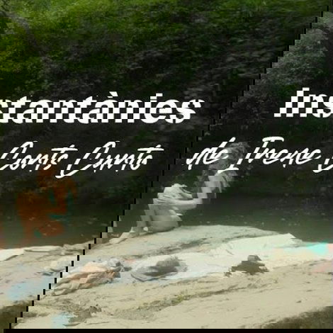 Instantànies