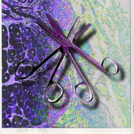 Crystal Violet