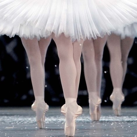La danse - Le ballet de L'Opéra de Paris
