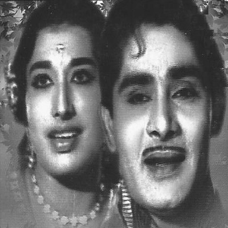 സർപ്പക്കാട്