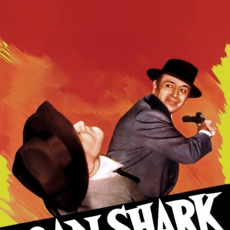 Loan Shark
