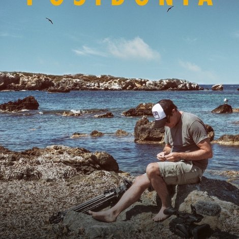 Posidònia