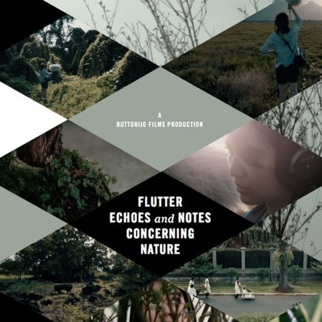 Flutter Echoes and Notes Concerning Nature