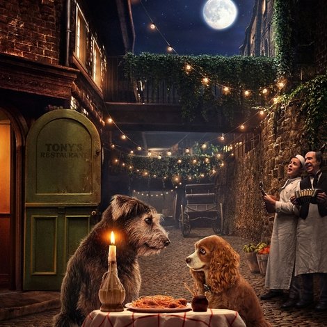 Lady and the Tramp