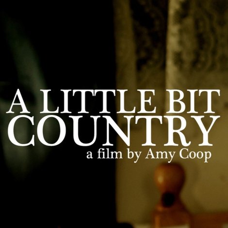 A Little Bit Country