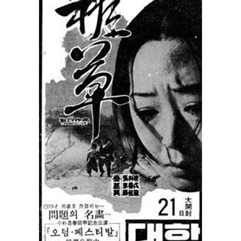 잡초