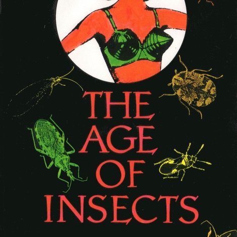 The Age of Insects