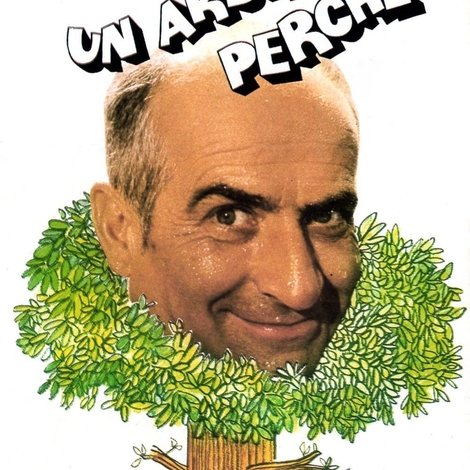 Sur un arbre perché