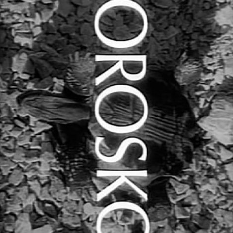 Horoskop