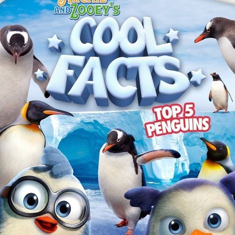 Archie And Zooey’s Cool Facts: Top 5 Penguins