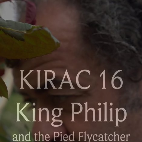 KIRAC 16: King Philip and the Pied Flycatcher