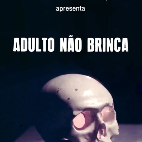 Adulto Não Brinca