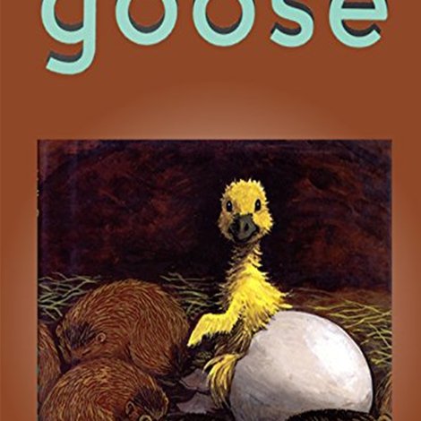 Goose