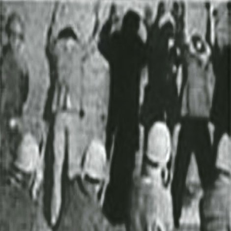 شجاعان ايستاده میميرند