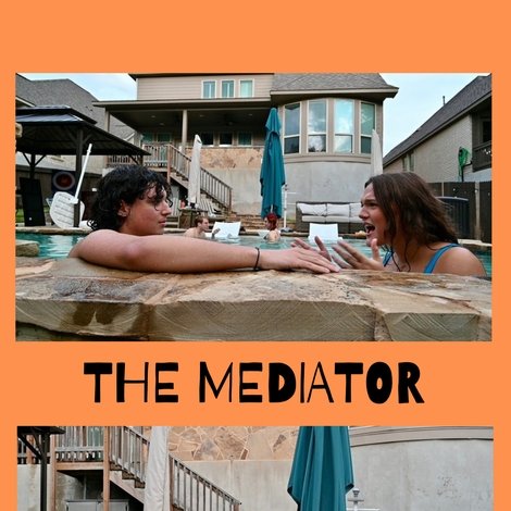 The Mediator